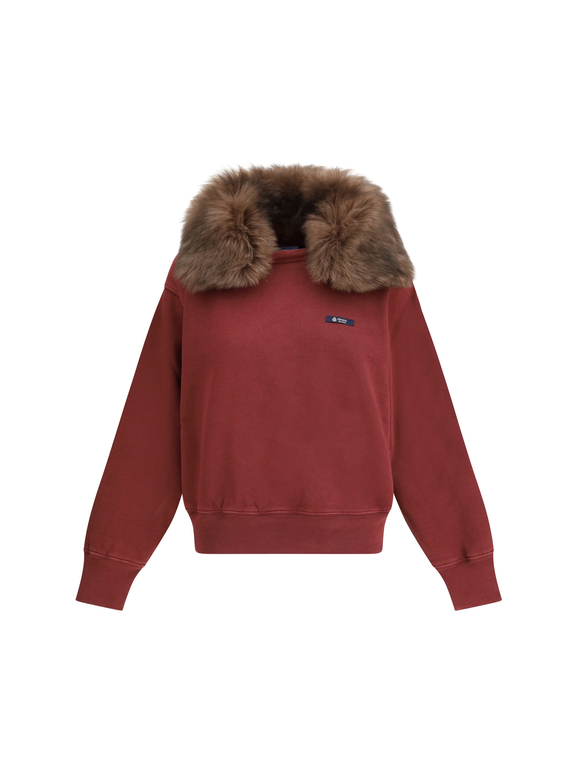 sweatshirt with a shearling collar