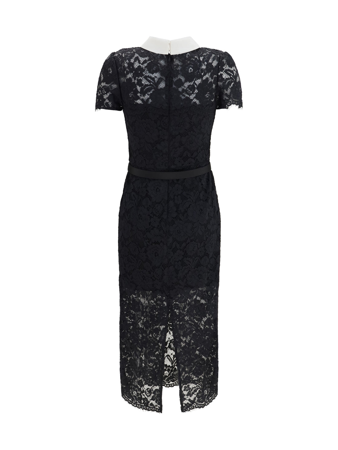 SELF-PORTRAIT 6 lace contrast collar midi dress