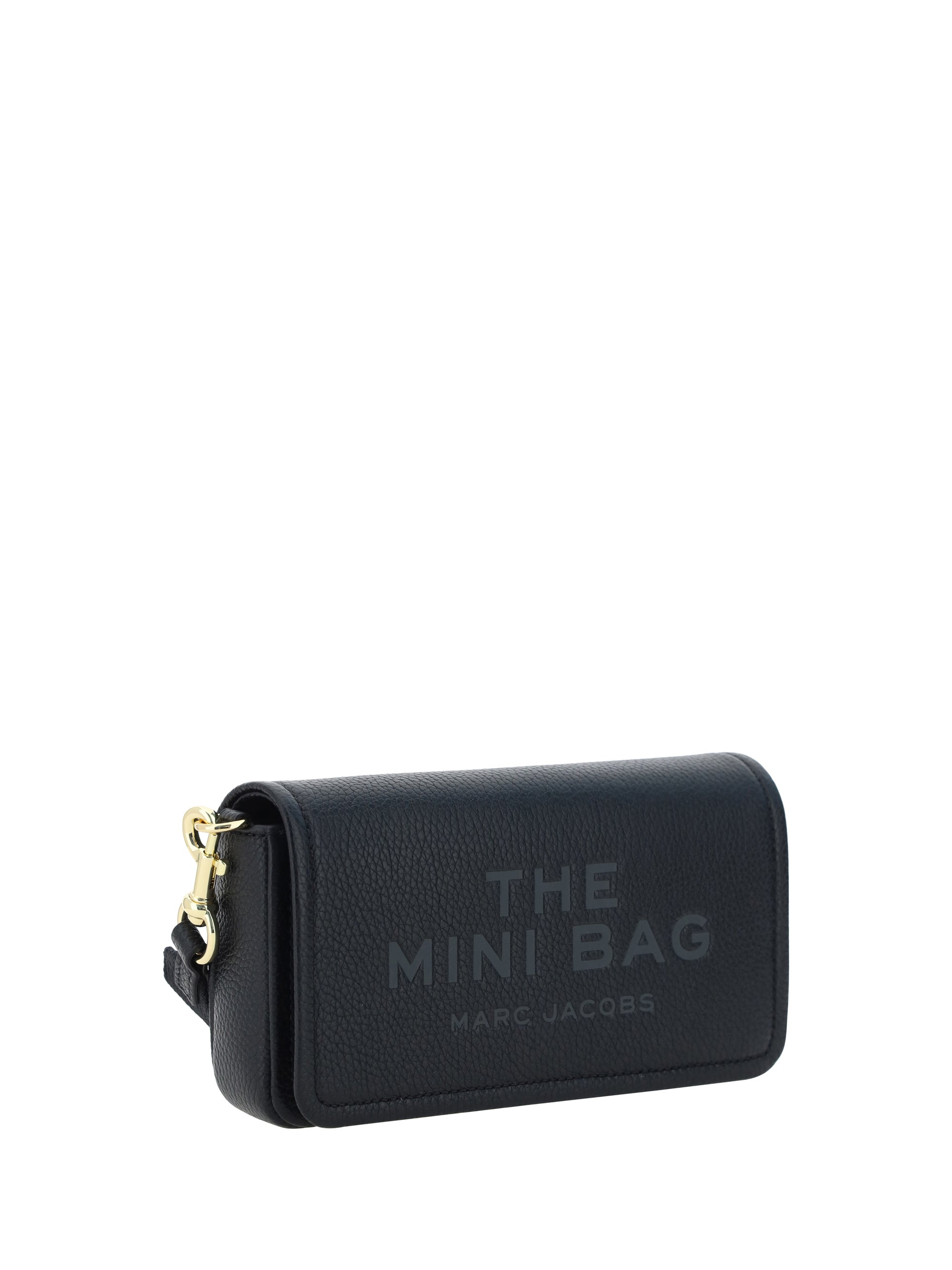 the mini bag shoulder bag