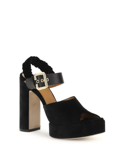 aria pumps