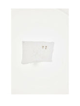 DIOR OS petit cd stud earrings