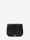 companion saddle bag