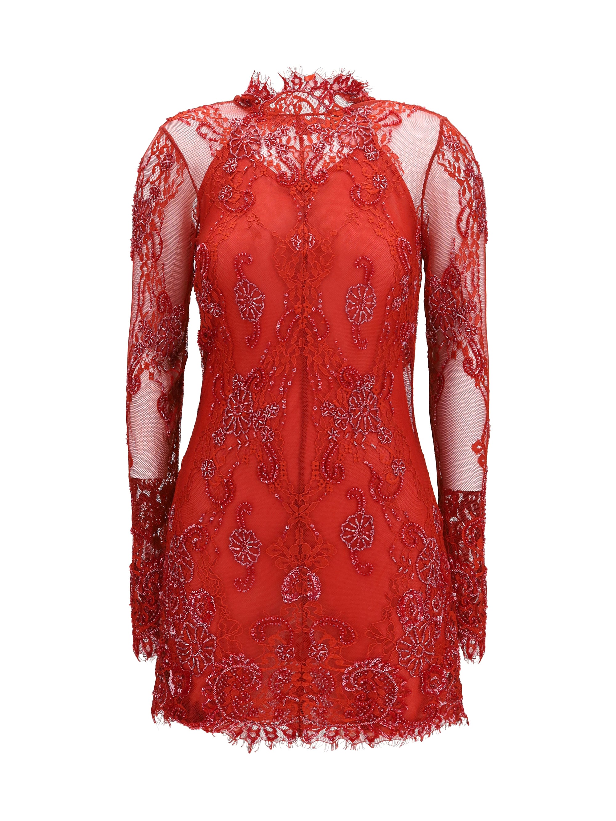 embroidered lace mini dress