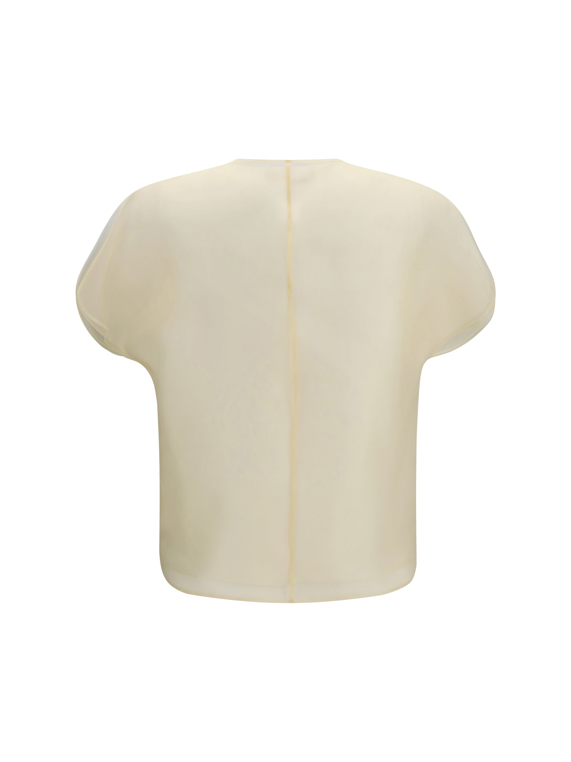 briar silk organza top