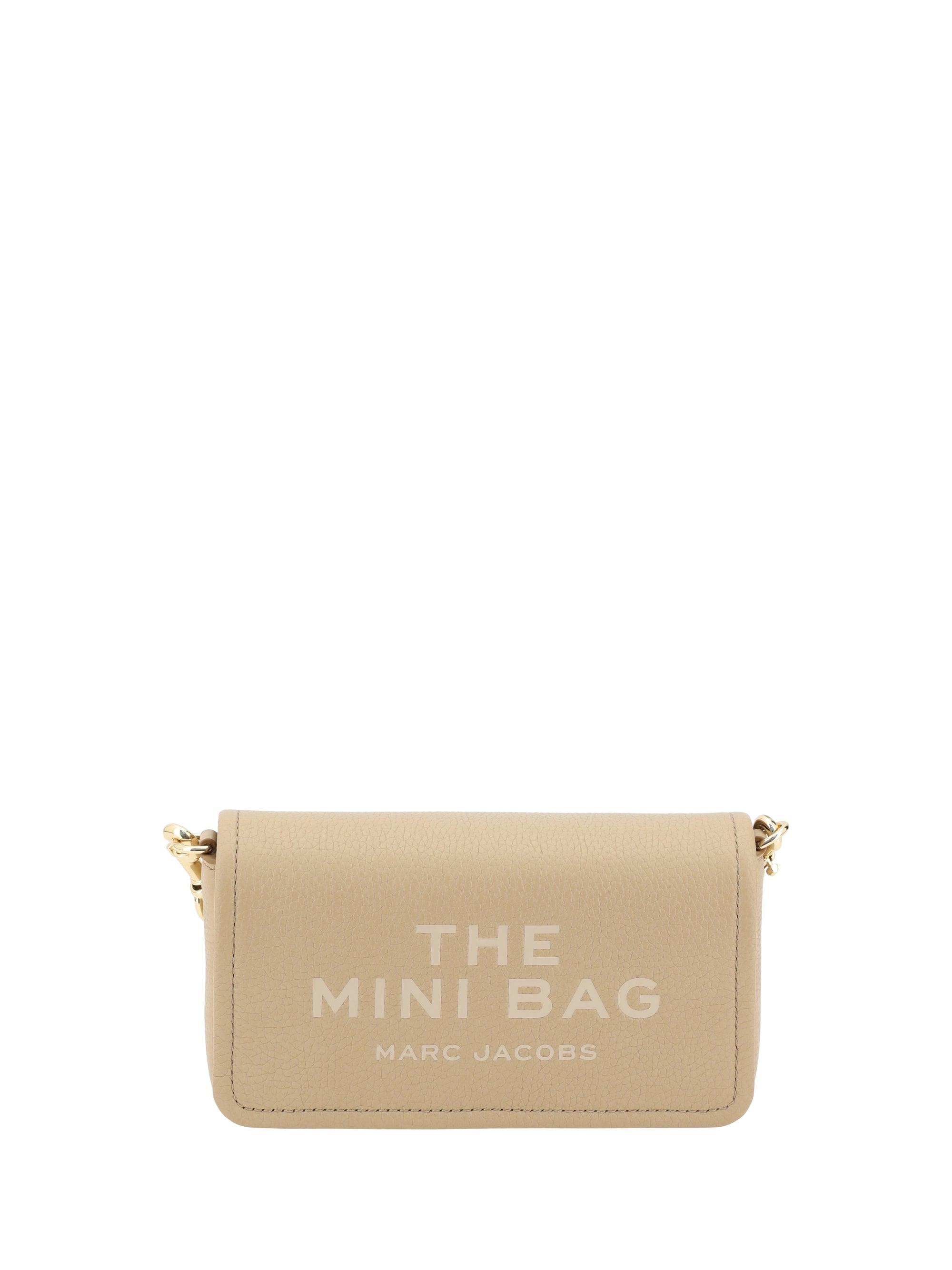 the mini bag shoulder bag