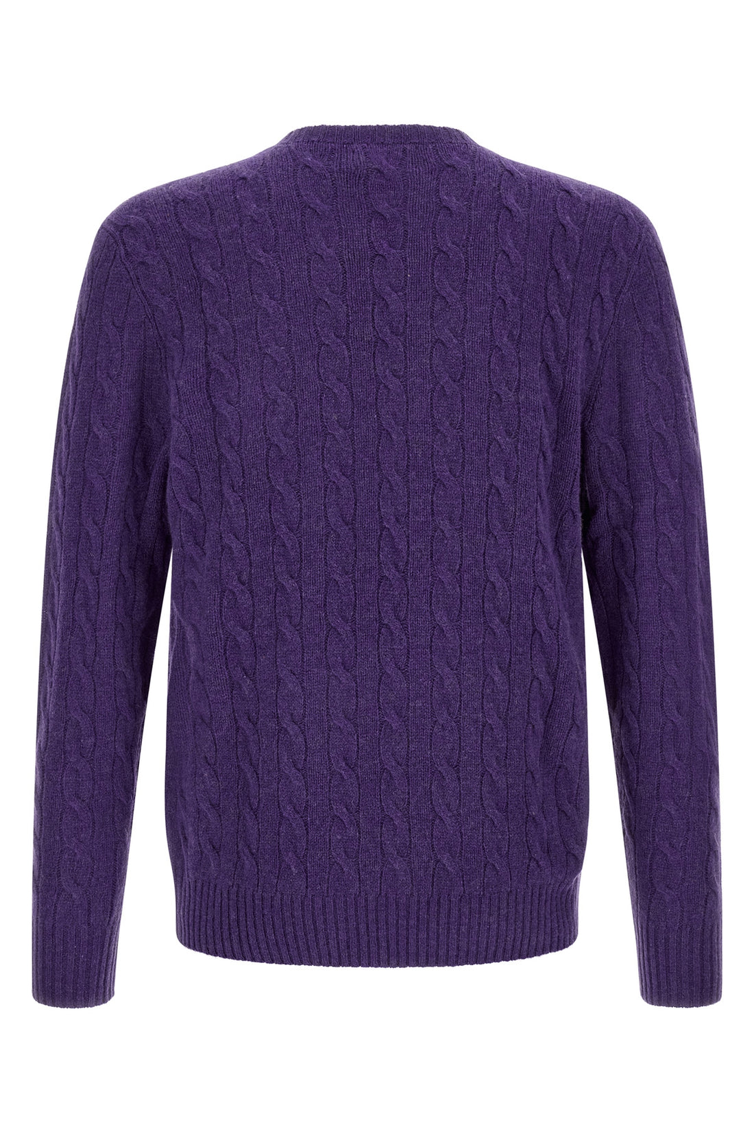 POLO RALPH LAUREN L the polo ralph lauren long-sleeved sweater