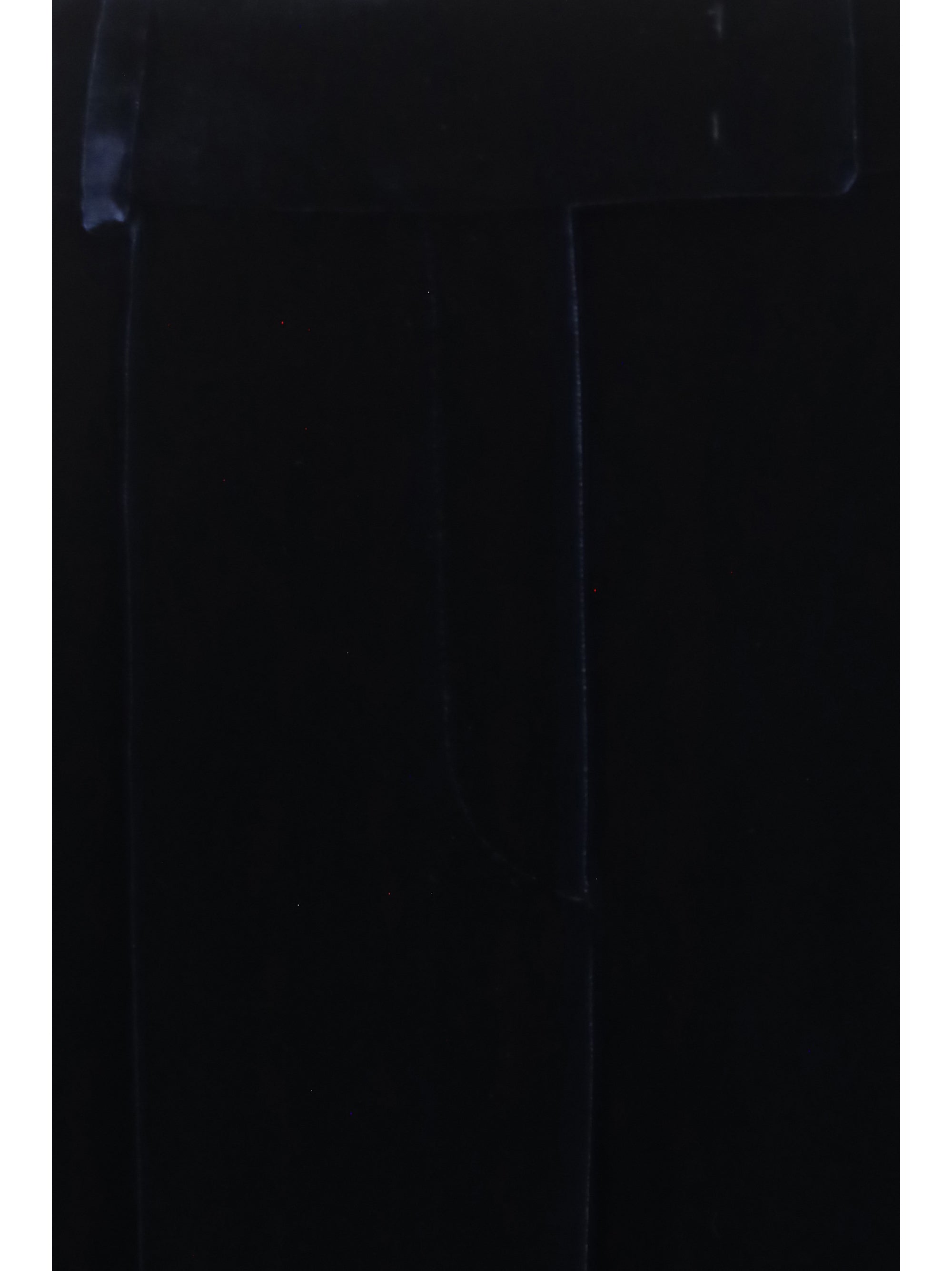 wide leg pants with double pleats in viscose and silk velvet