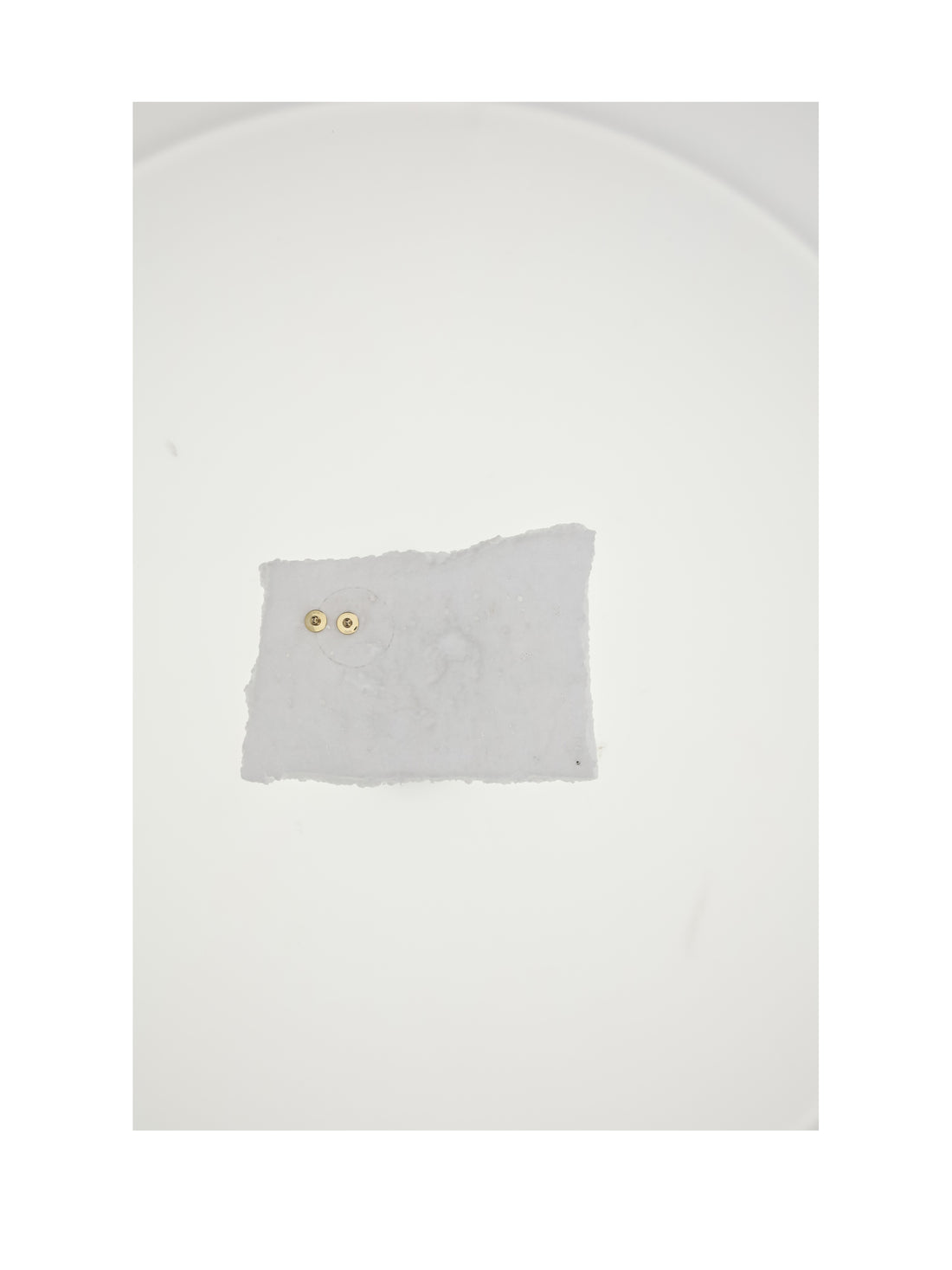 DIOR OS d-luck stud earrings