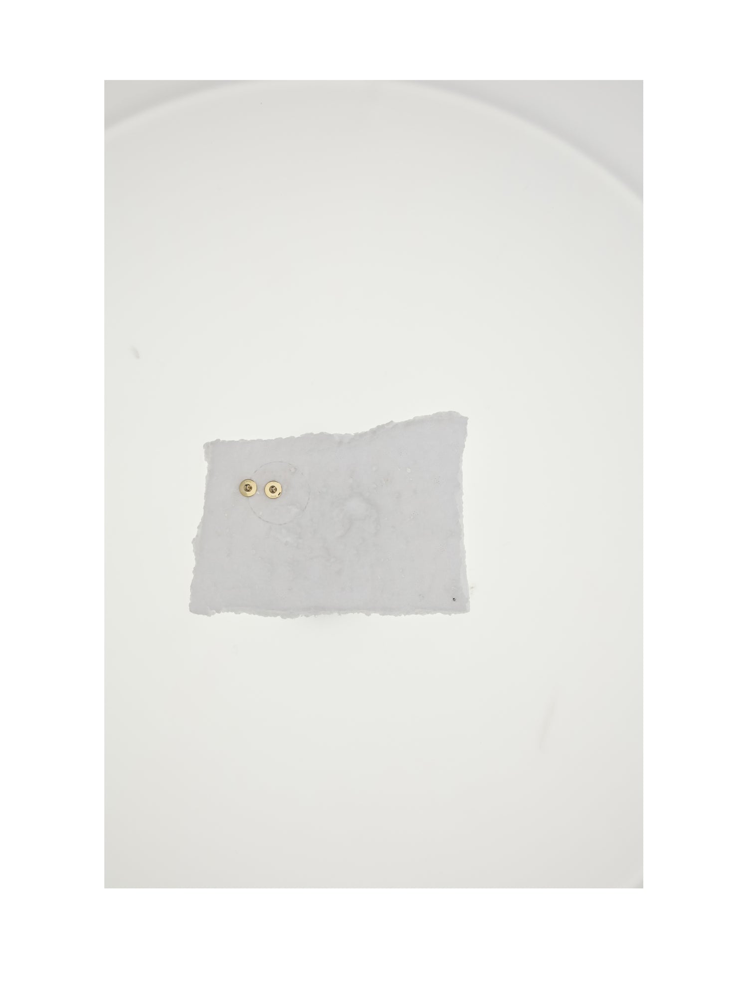 DIOR OS d-luck stud earrings