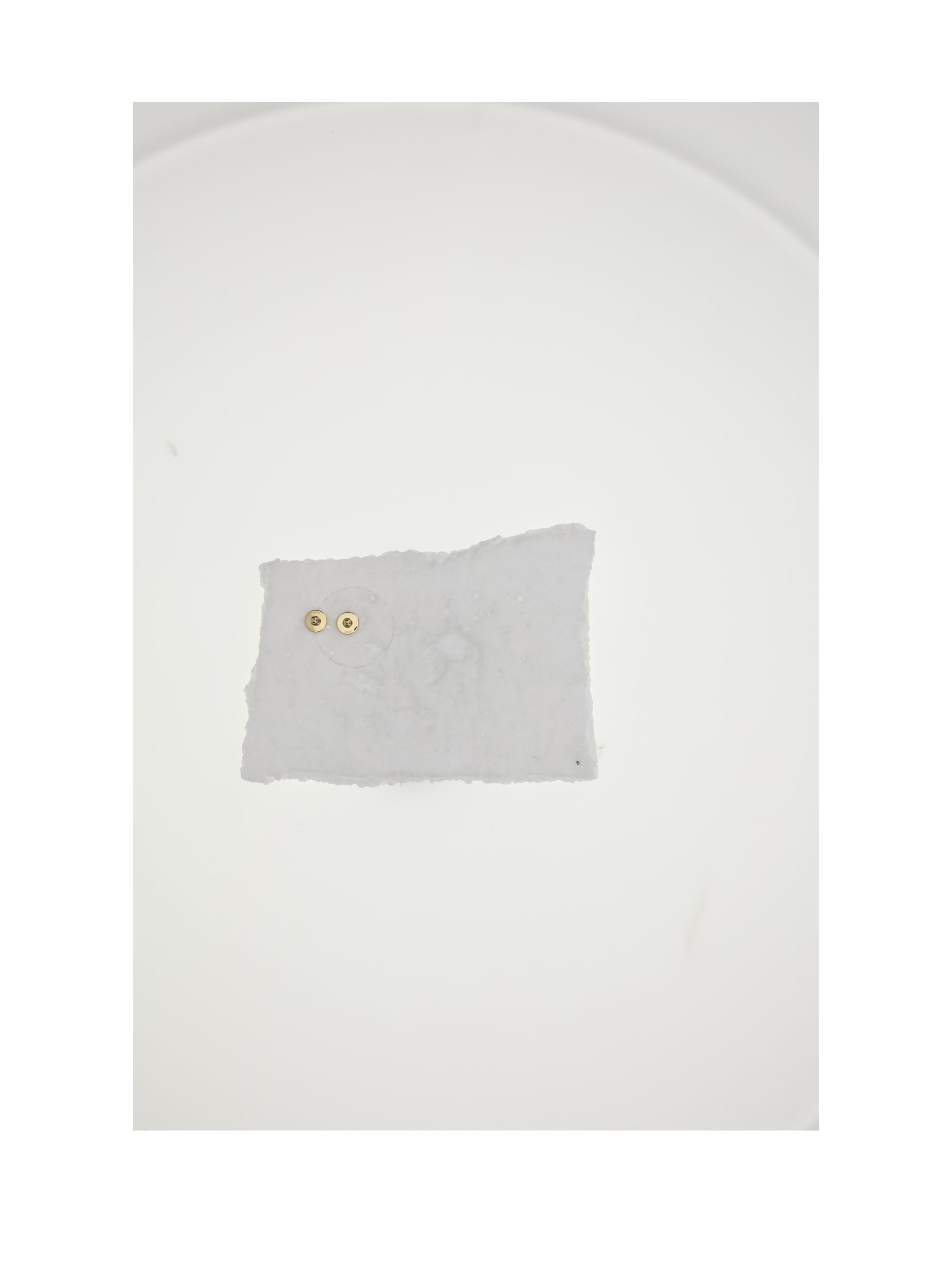 DIOR OS d-luck stud earrings