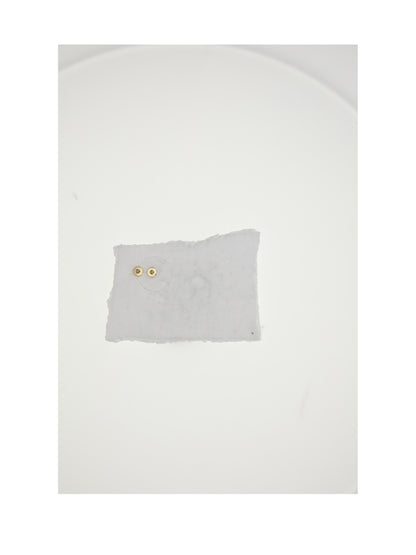 DIOR OS d-luck stud earrings