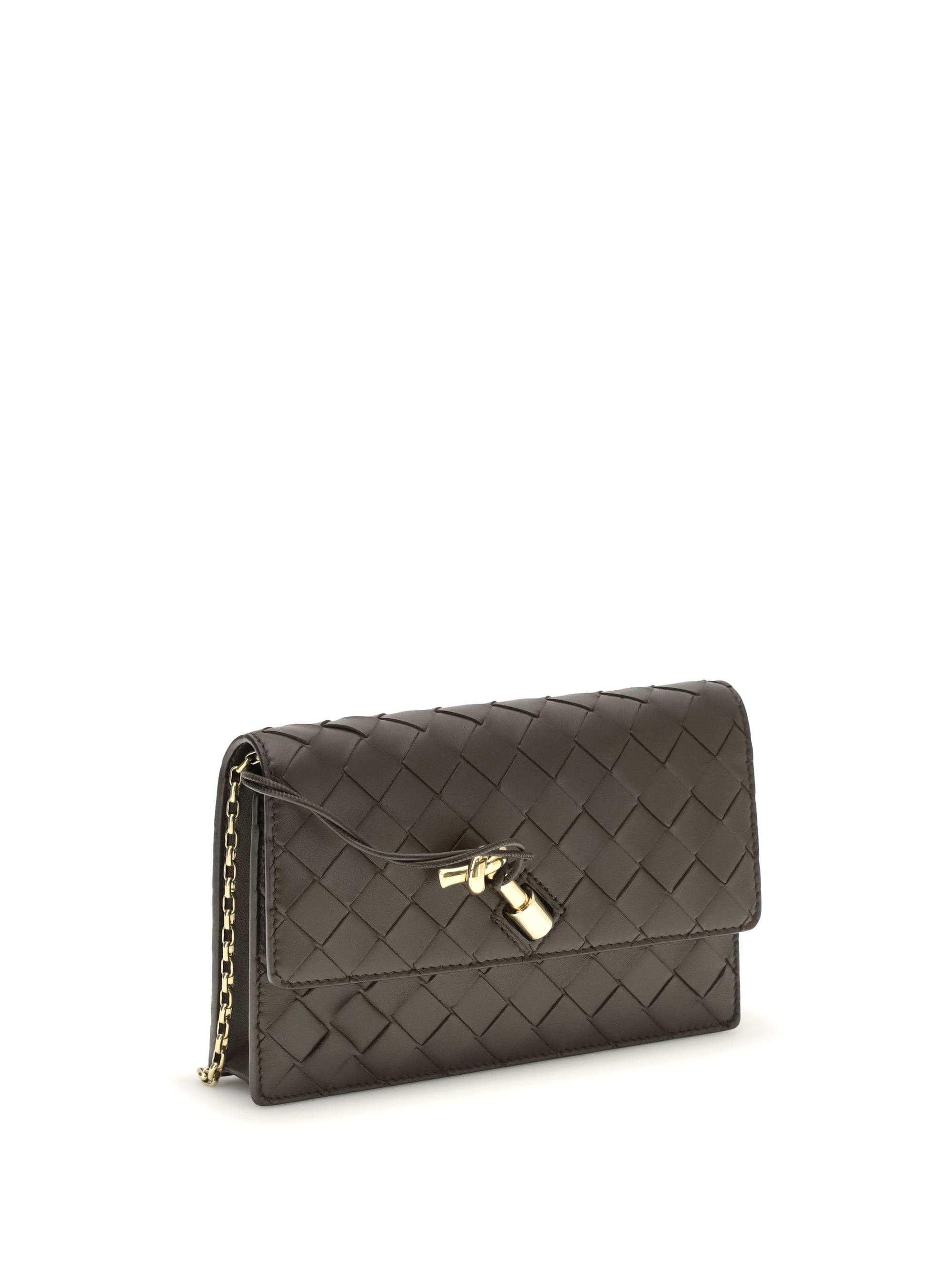 BOTTEGA VENETA OS andiamo pouch on chain