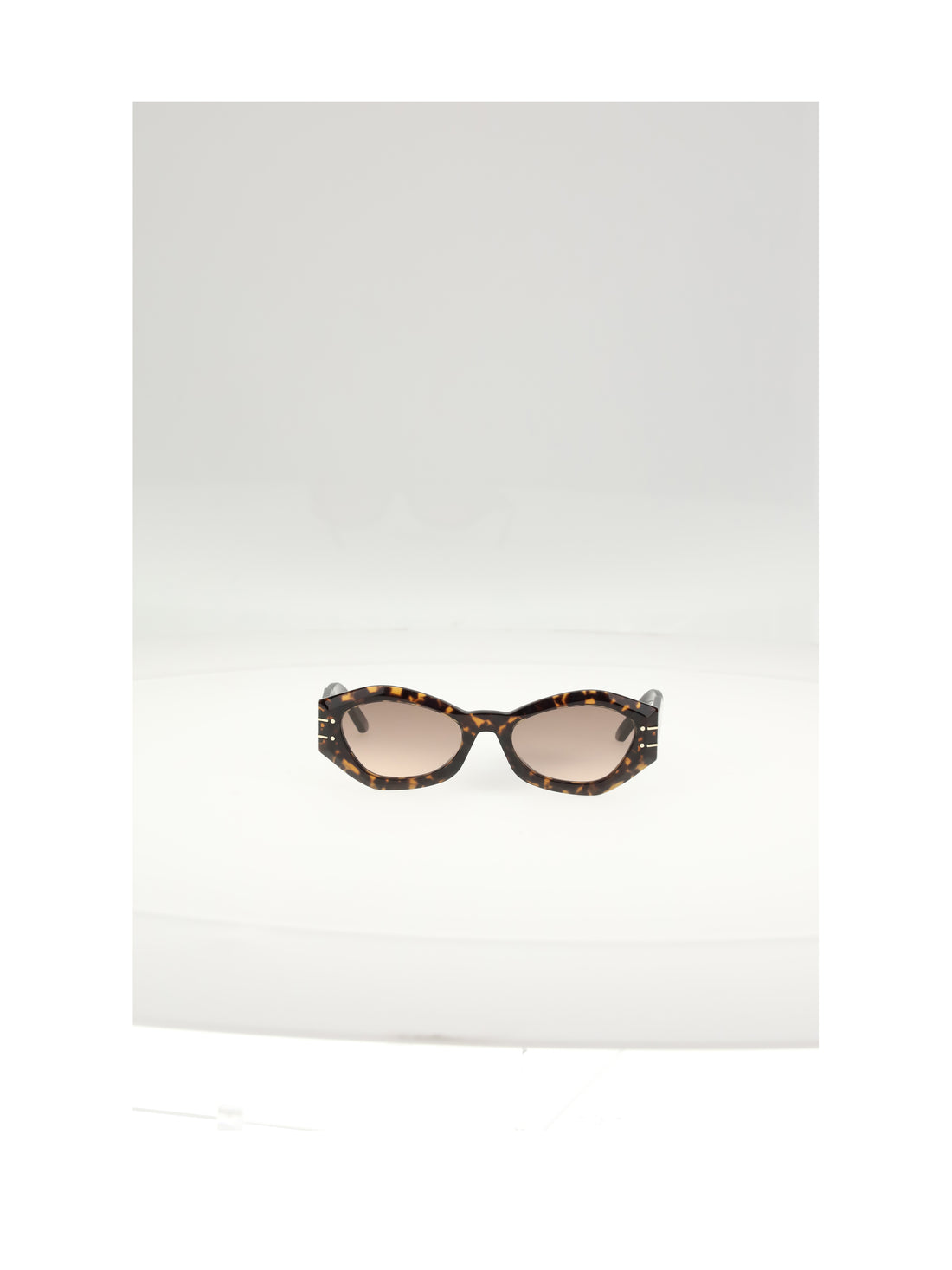 DIOR OS diorsignature b1uxr sunglasses