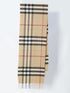 BURBERRY OS check scarf