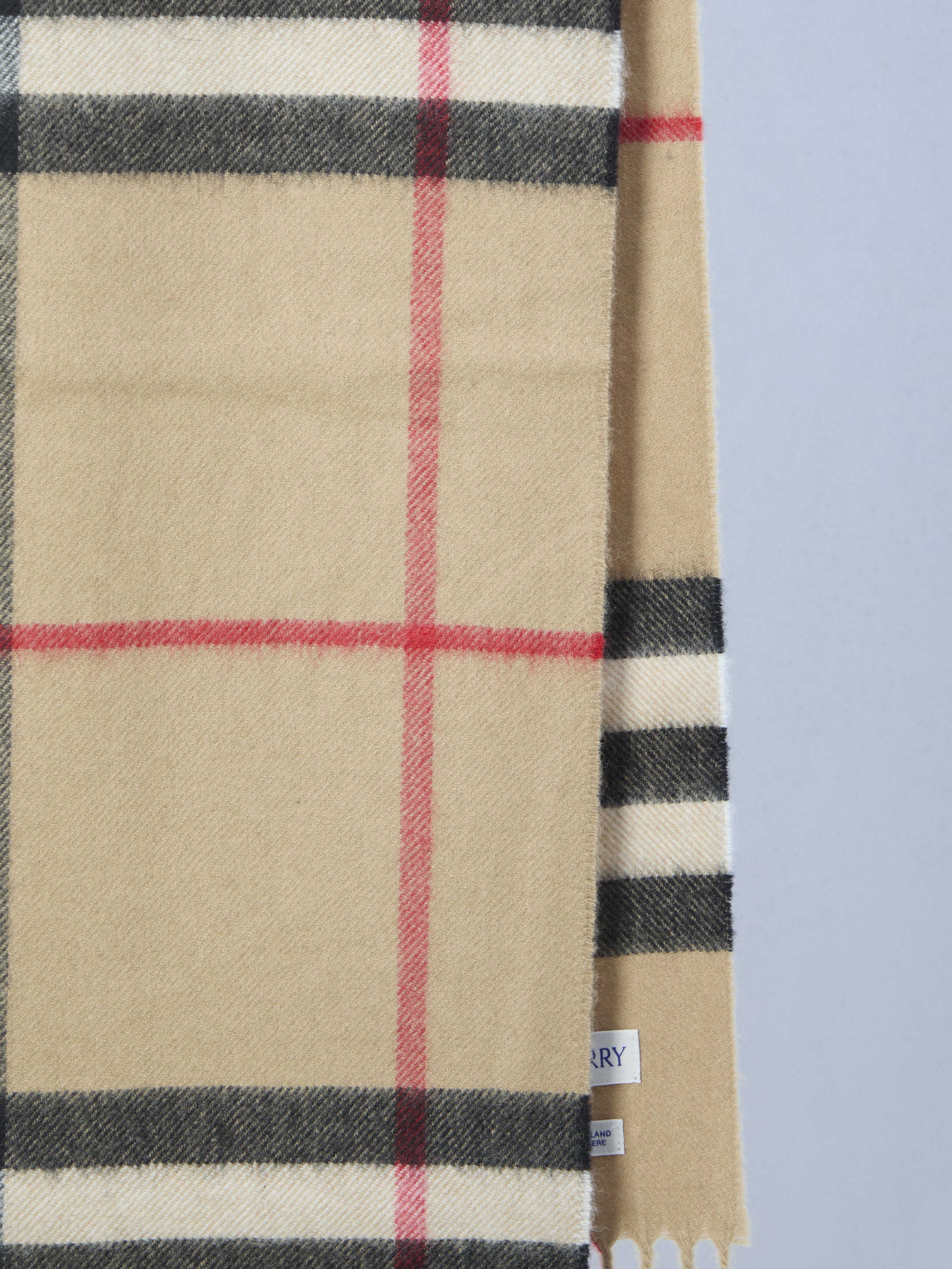 BURBERRY OS check scarf