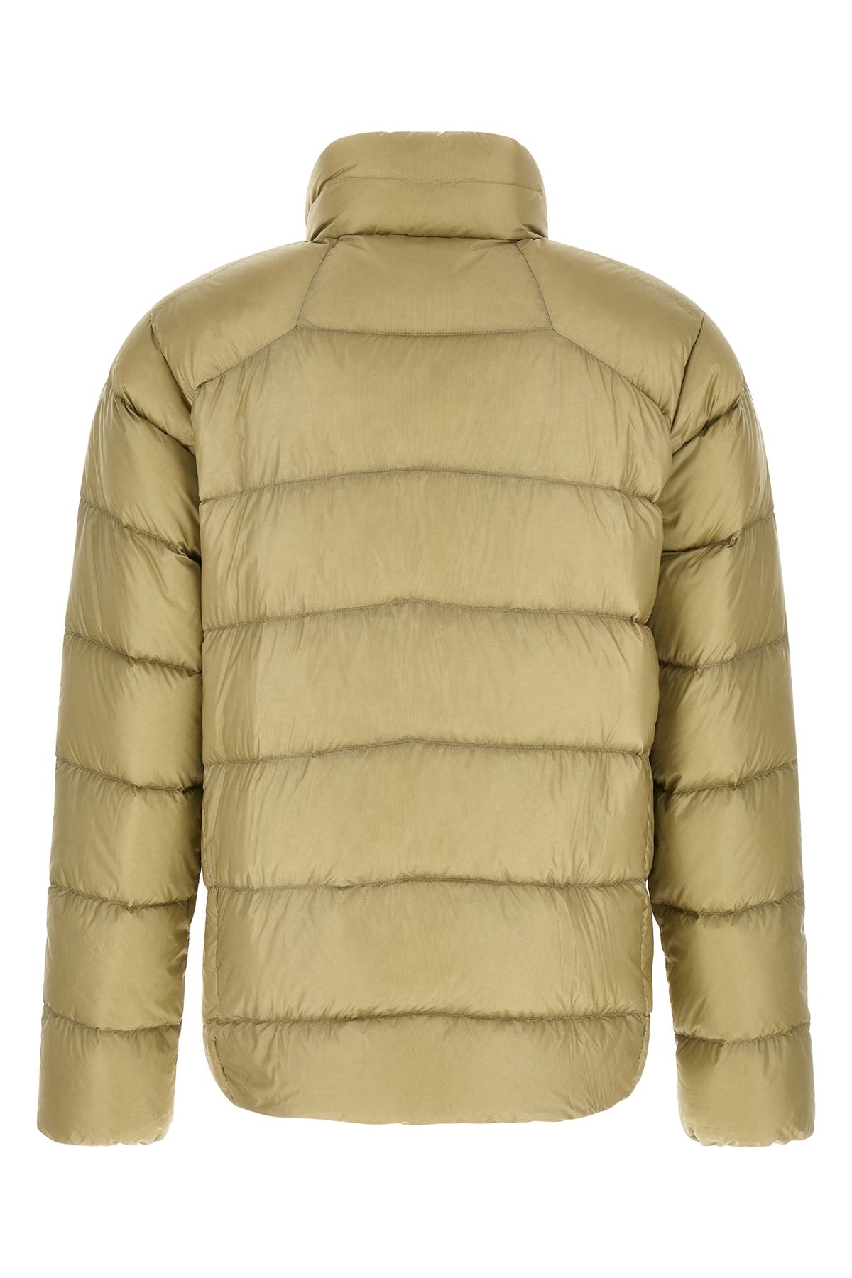 the patagonia down jacket