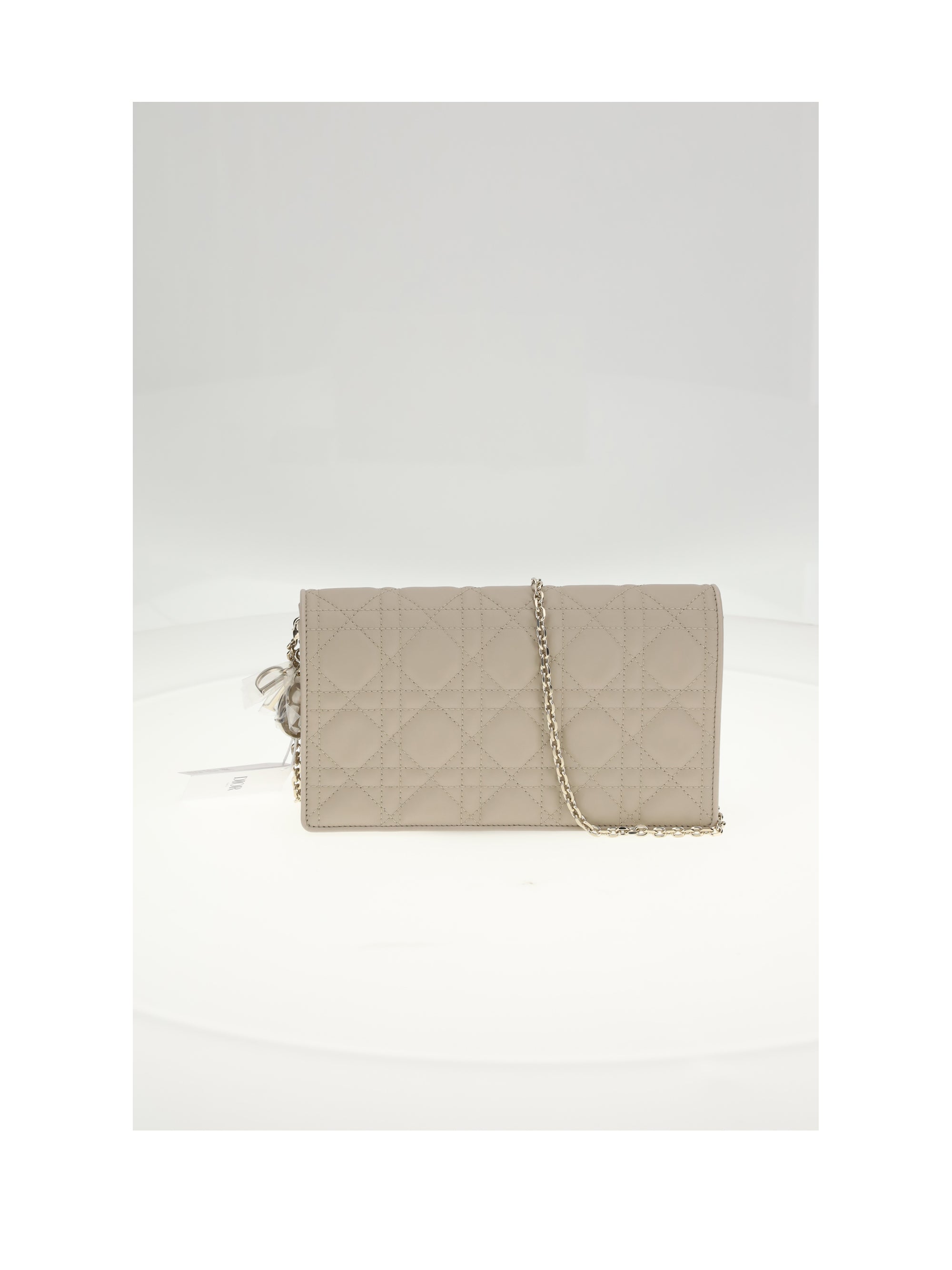 lady dior pouch