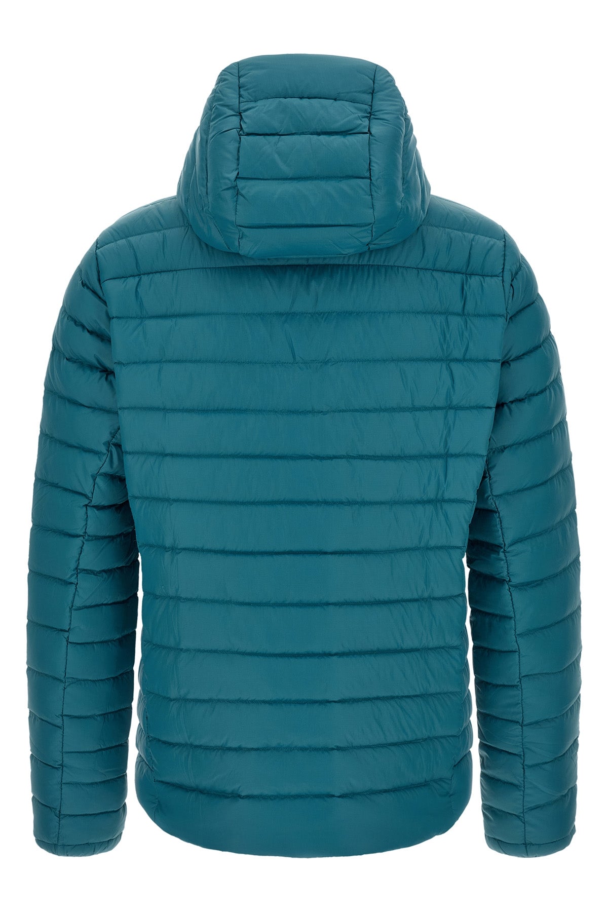 the patagonia down jacket