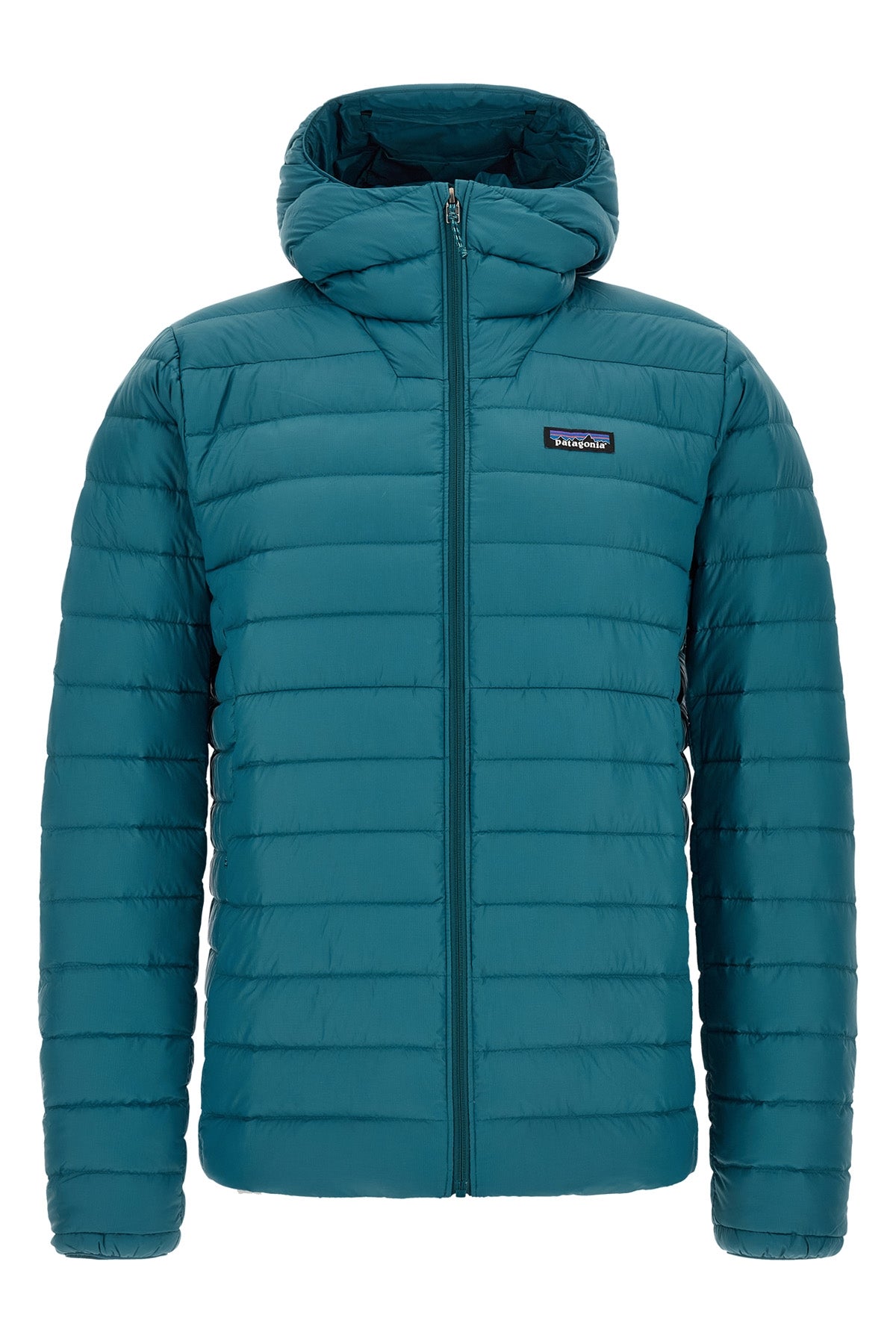 the patagonia down jacket
