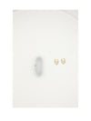dior oblique earrings