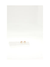 DIOR OS dior tribales earrings