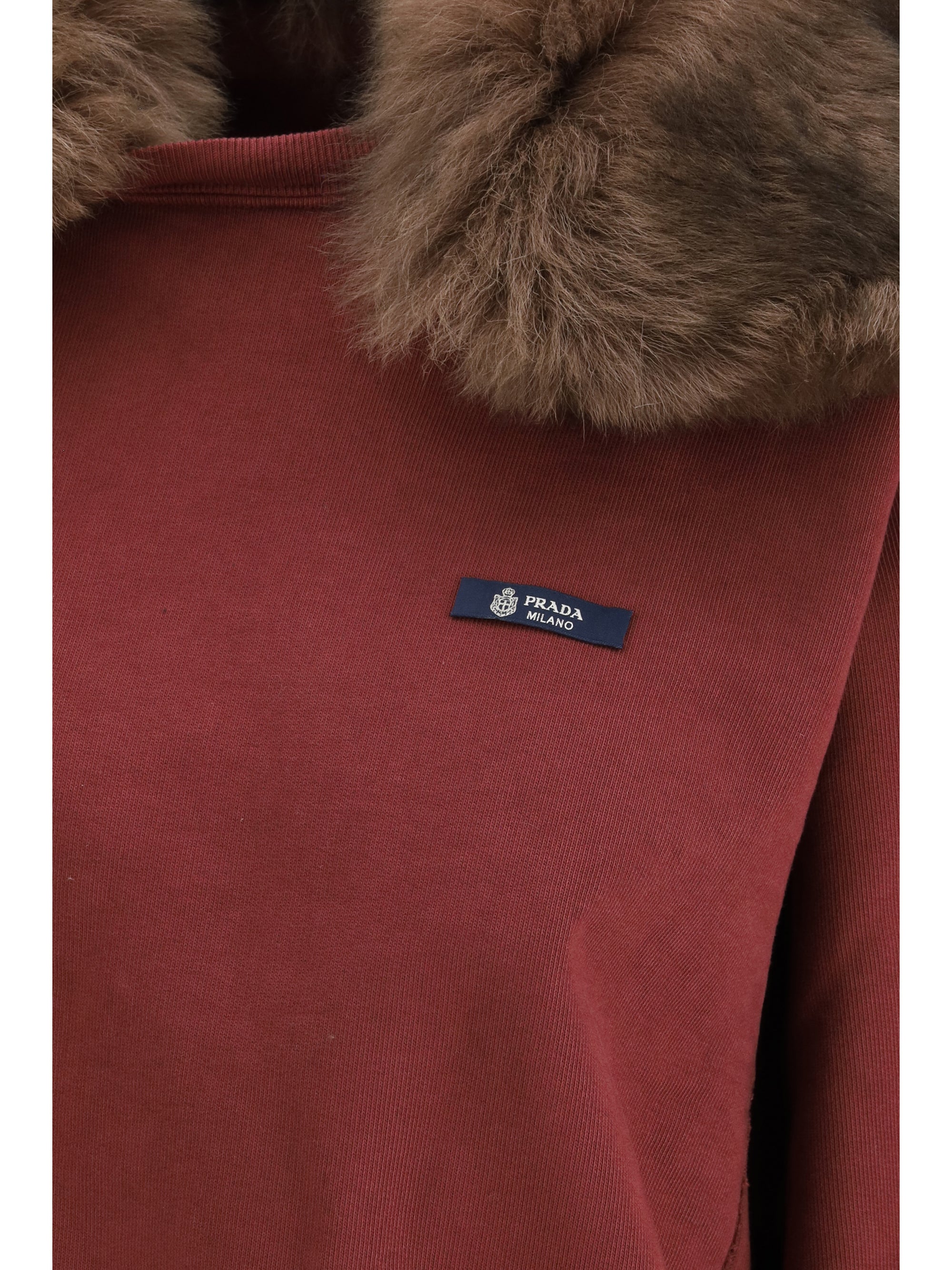 sweatshirt with a shearling collar