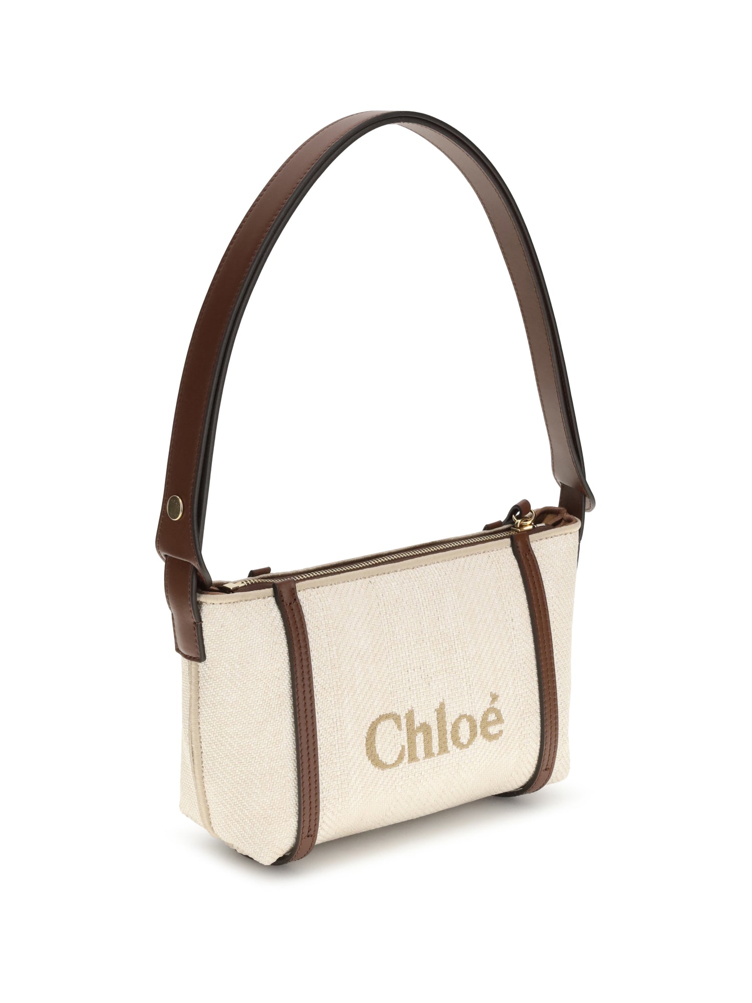 carry shoulder bag