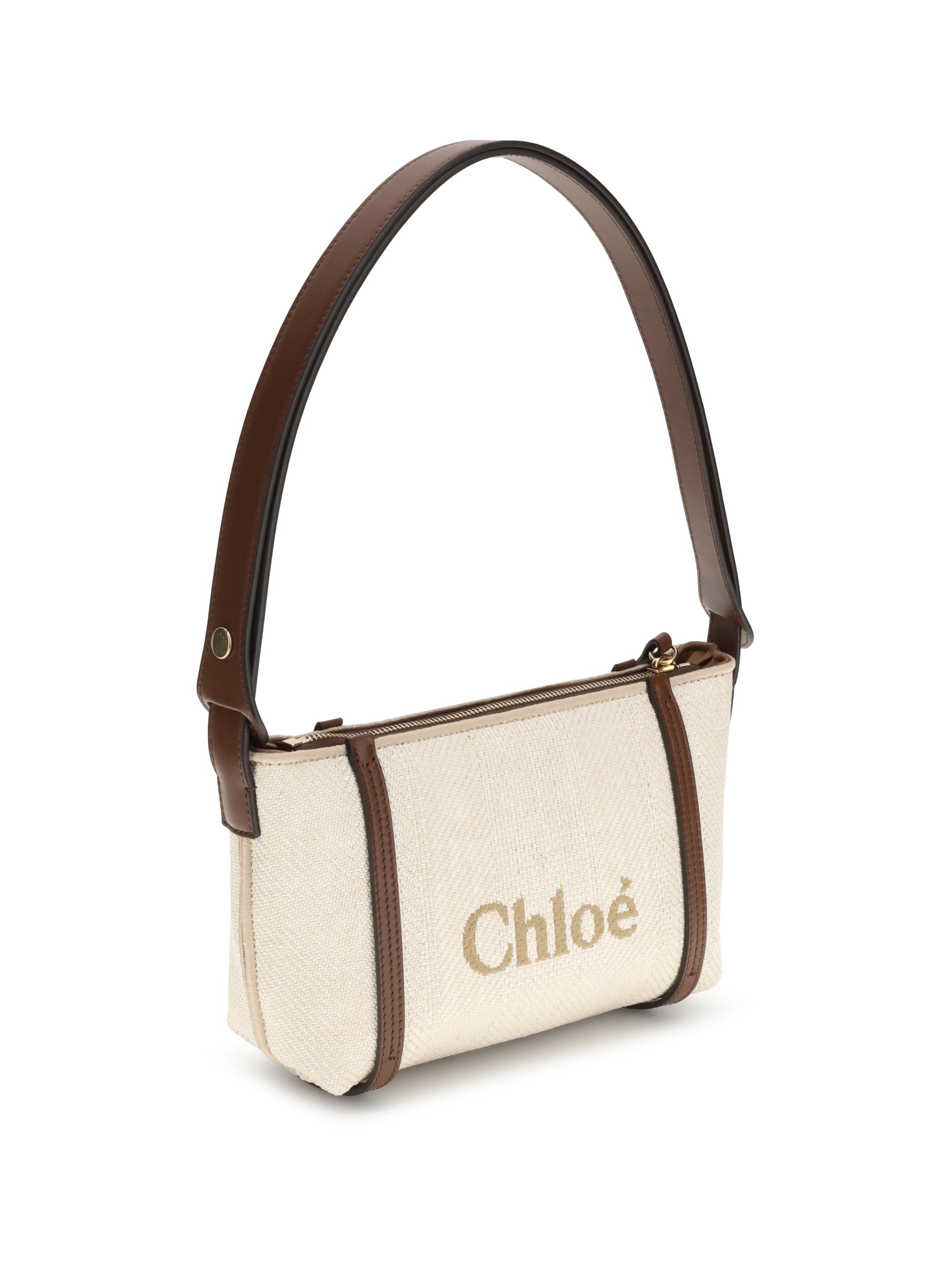 carry shoulder bag