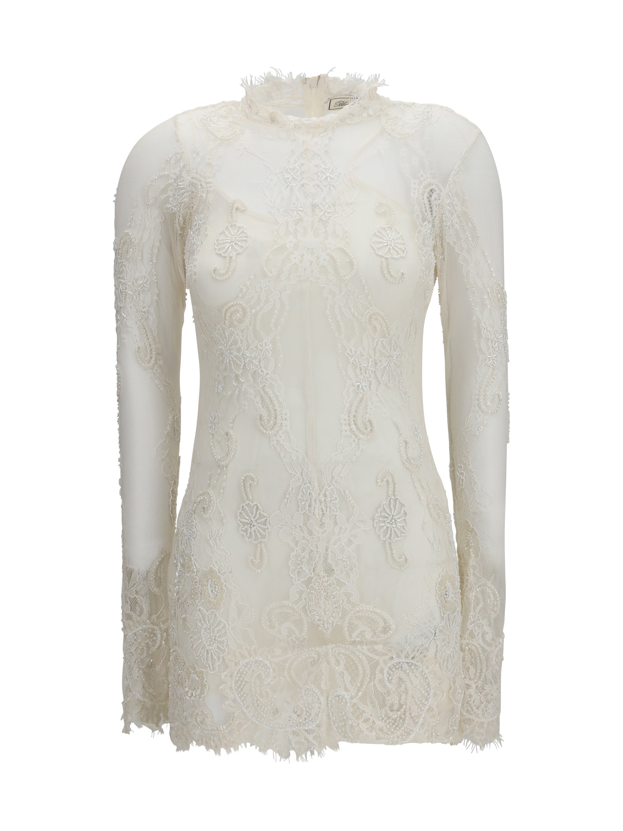 embroidered lace mini dress