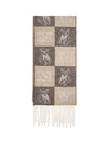 cashmere fringed scarf