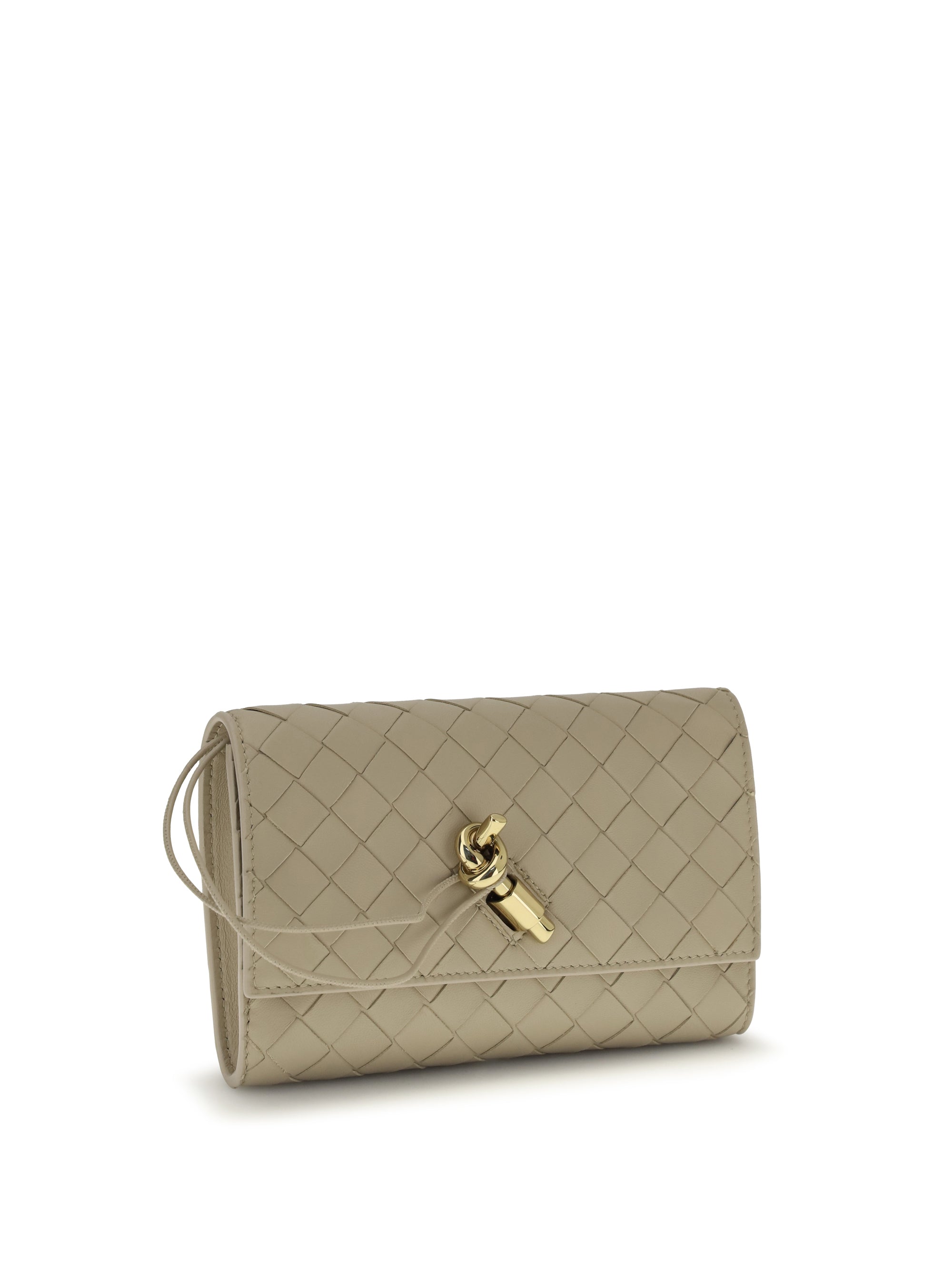 andiamo clutch bag