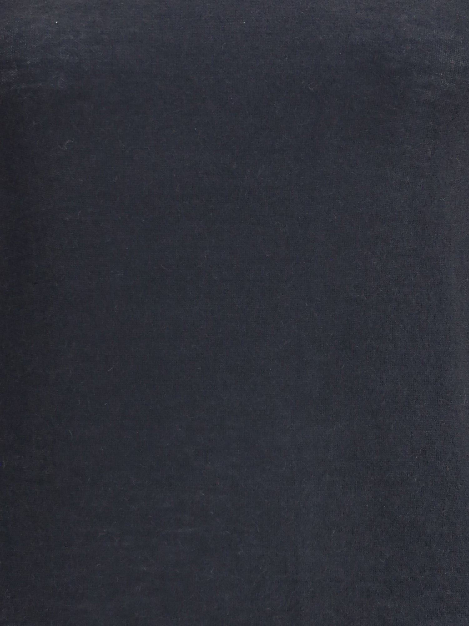 ALLUDE L cashmere turtleneck sweater