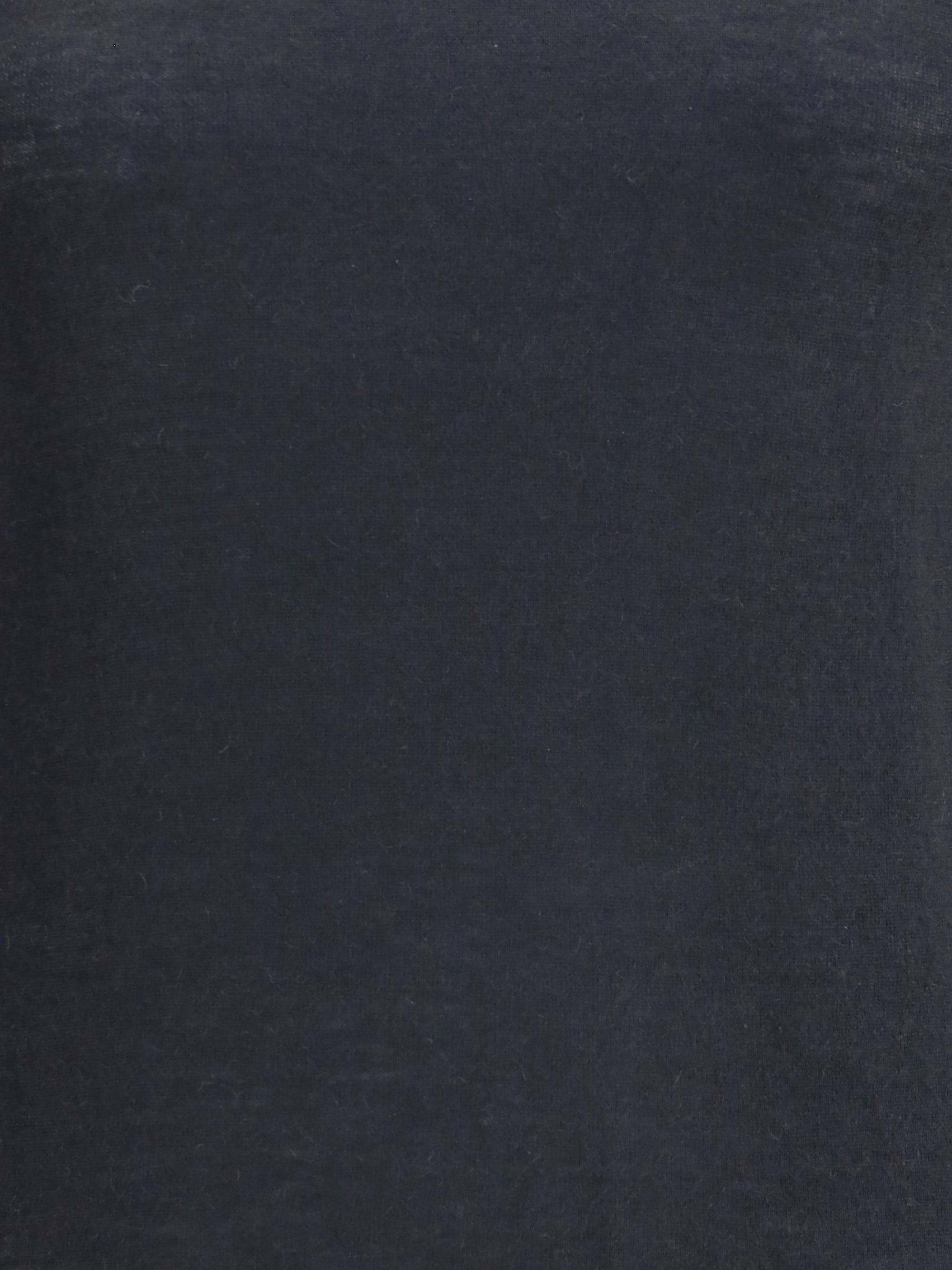 ALLUDE L cashmere turtleneck sweater