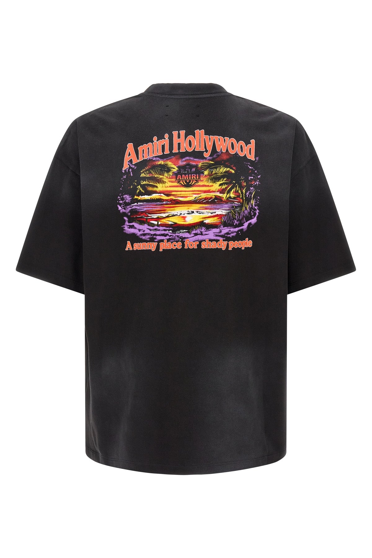 the t-shirt amiri sunny place skate