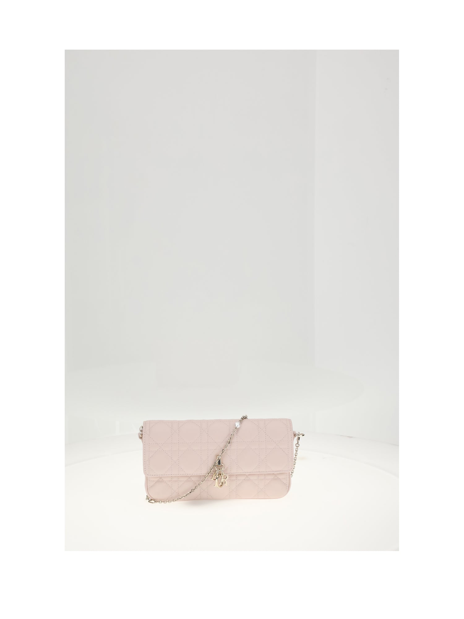 DIOR OS my dior pouch lambskin