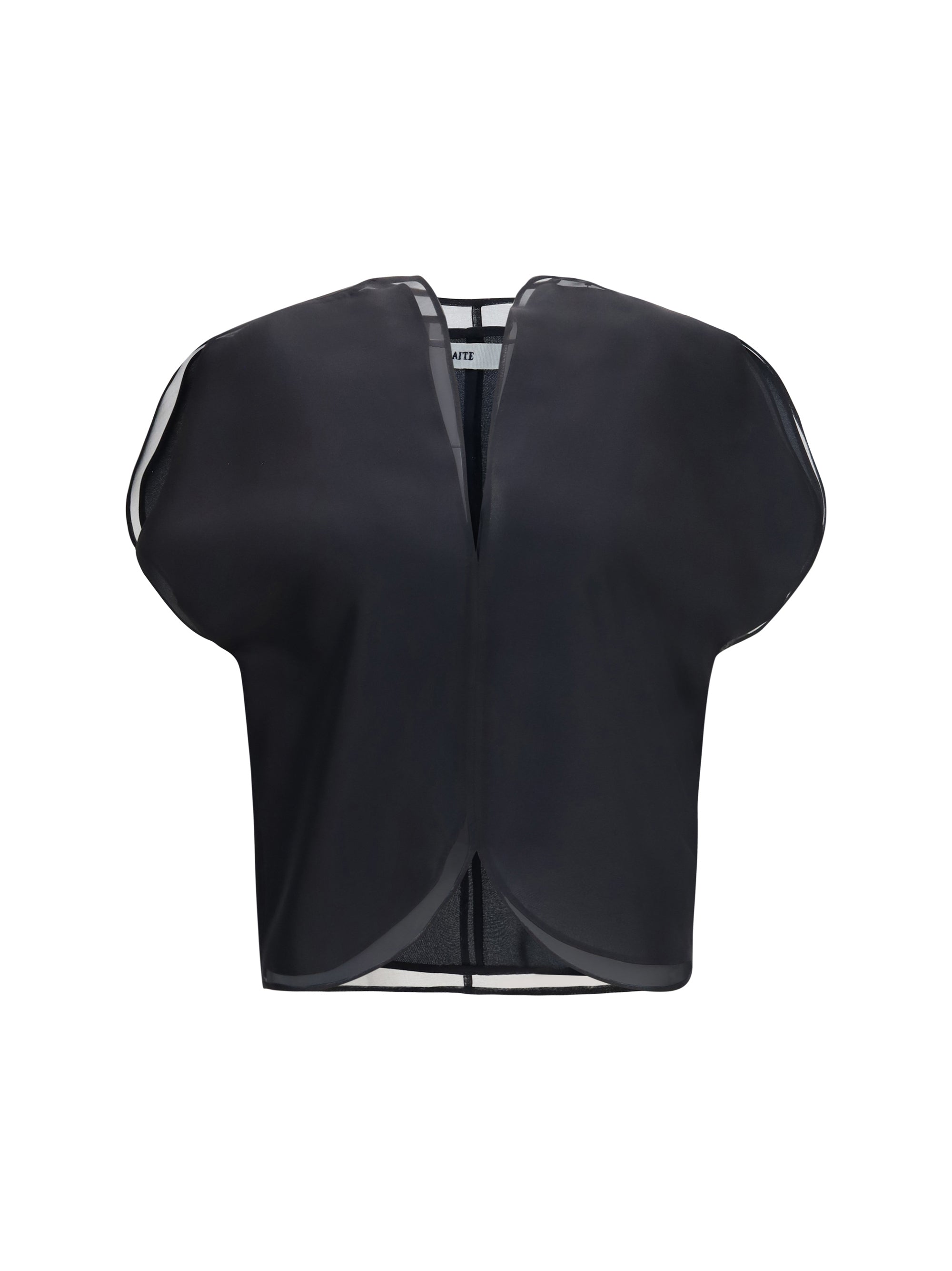 briar silk organza top