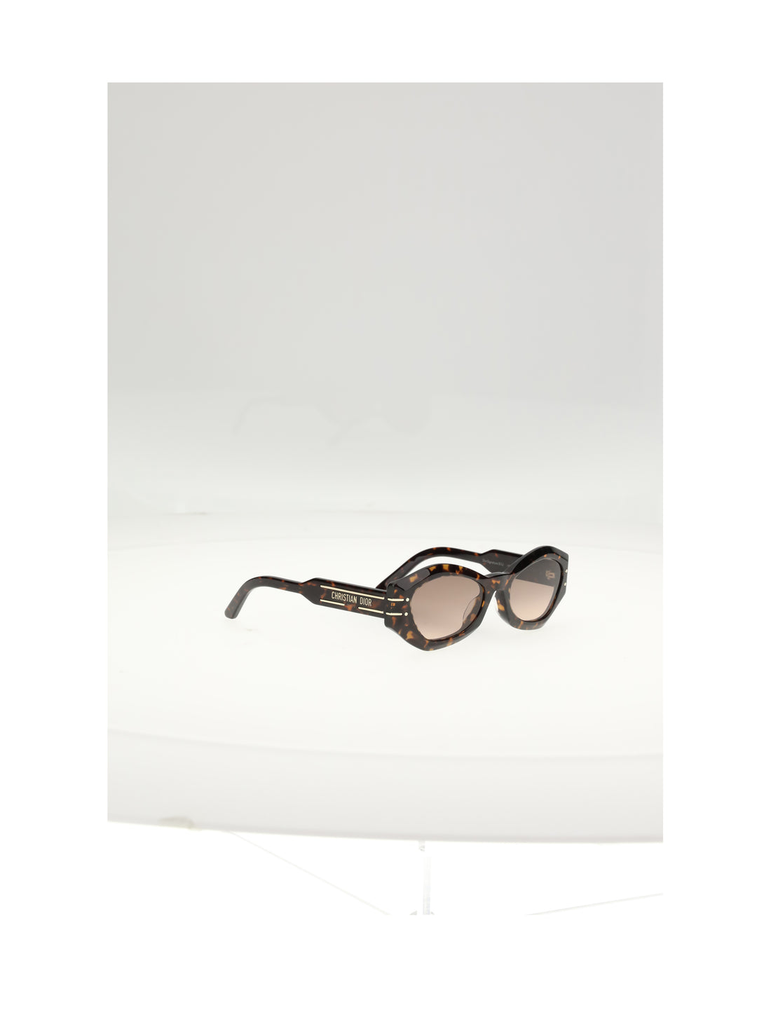DIOR OS diorsignature b1uxr sunglasses