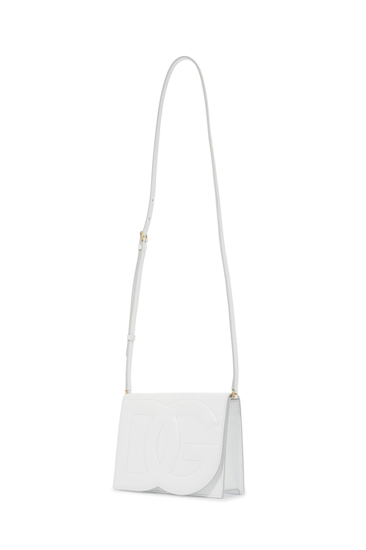 dg logo crossbody bag