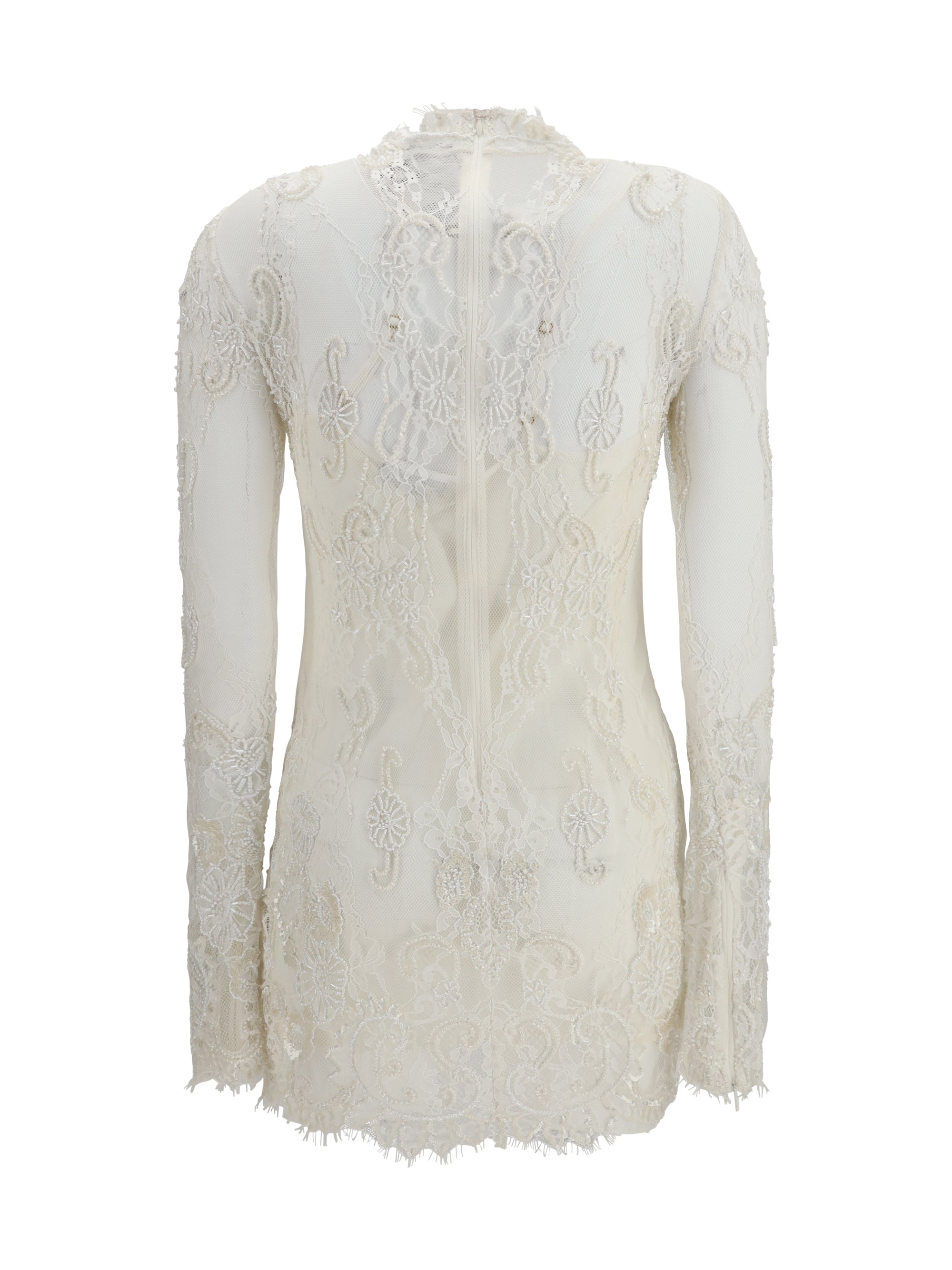 embroidered lace mini dress