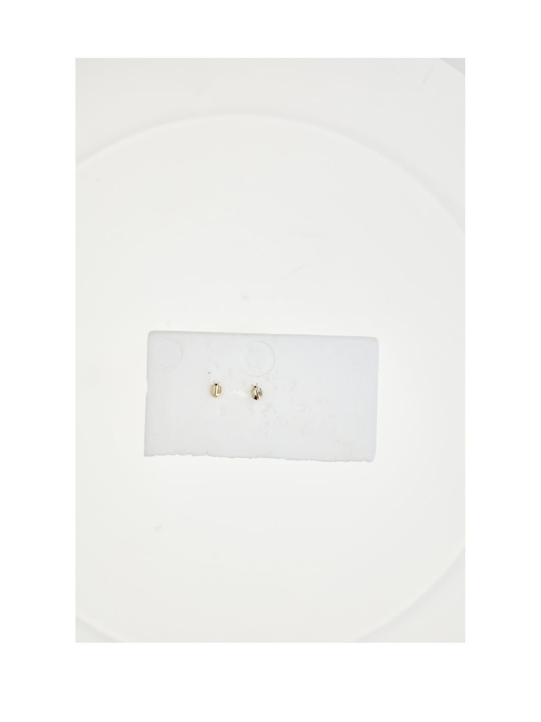 DIOR OS lady spark earrings