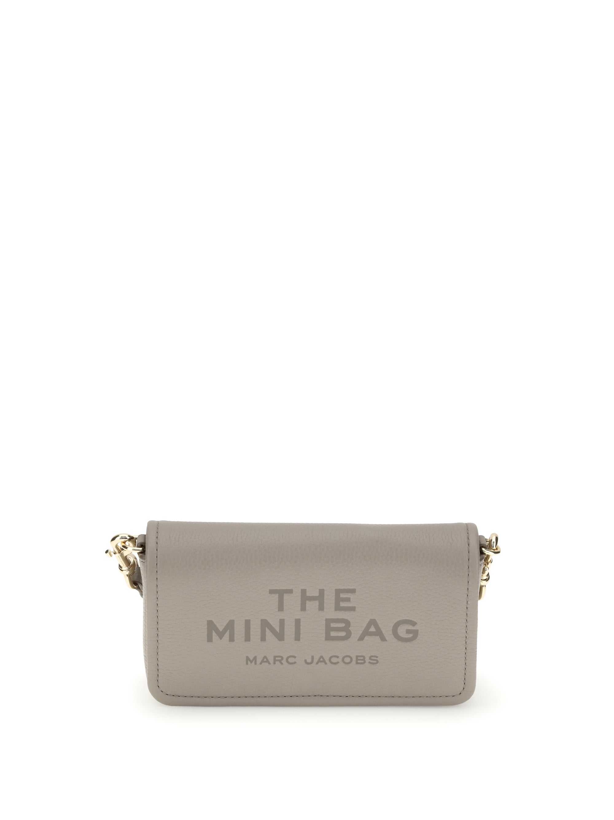 the mini bag shoulder bag