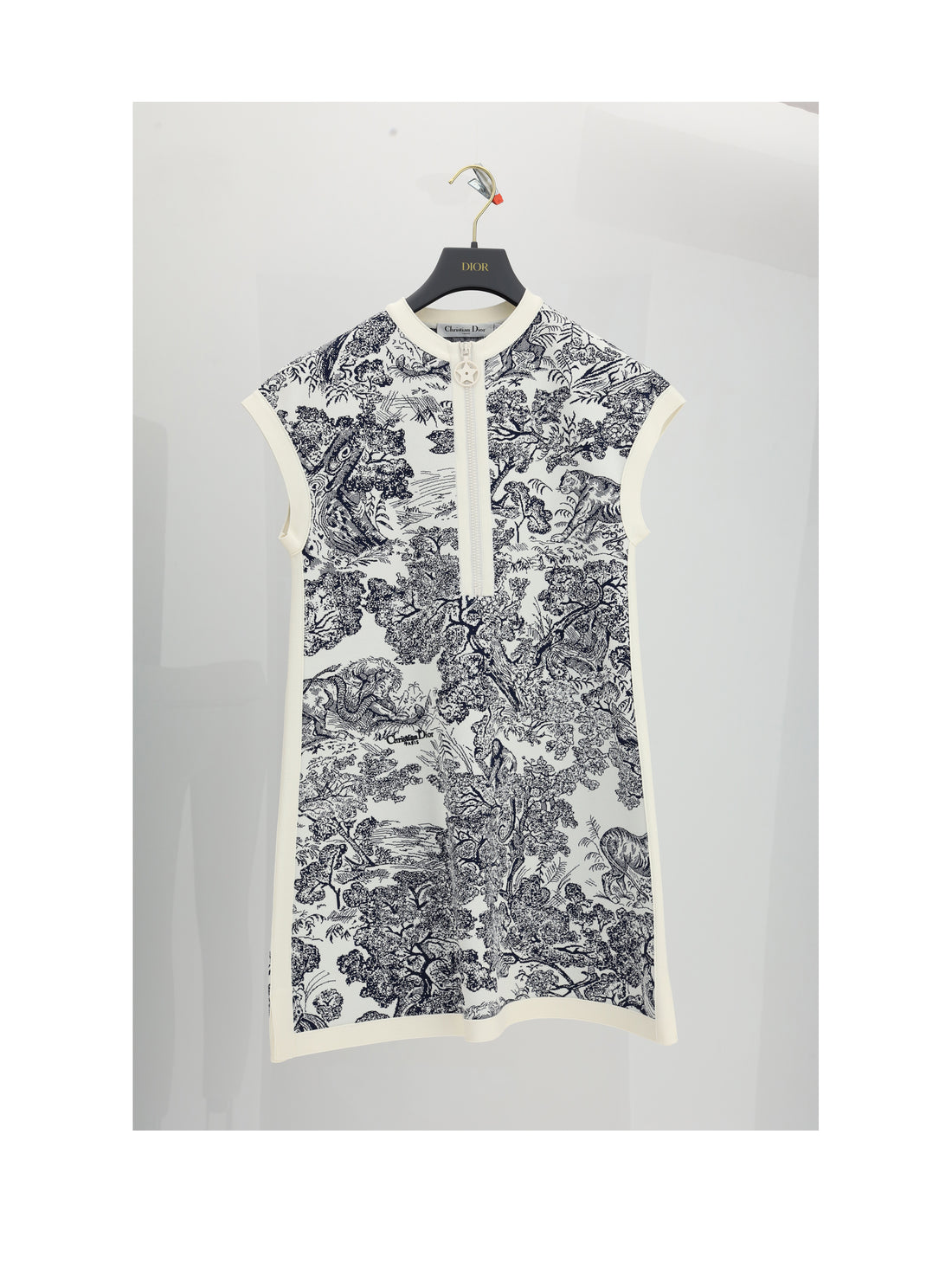 DIOR 38 dress
