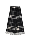 embroidered cashmere scarf
