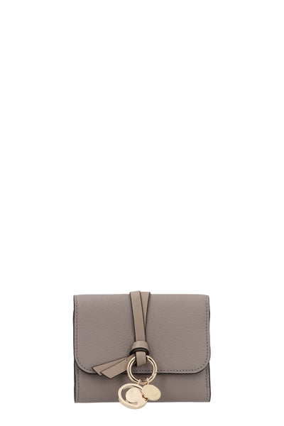 alphabet wallet