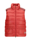 frelon down filled vest