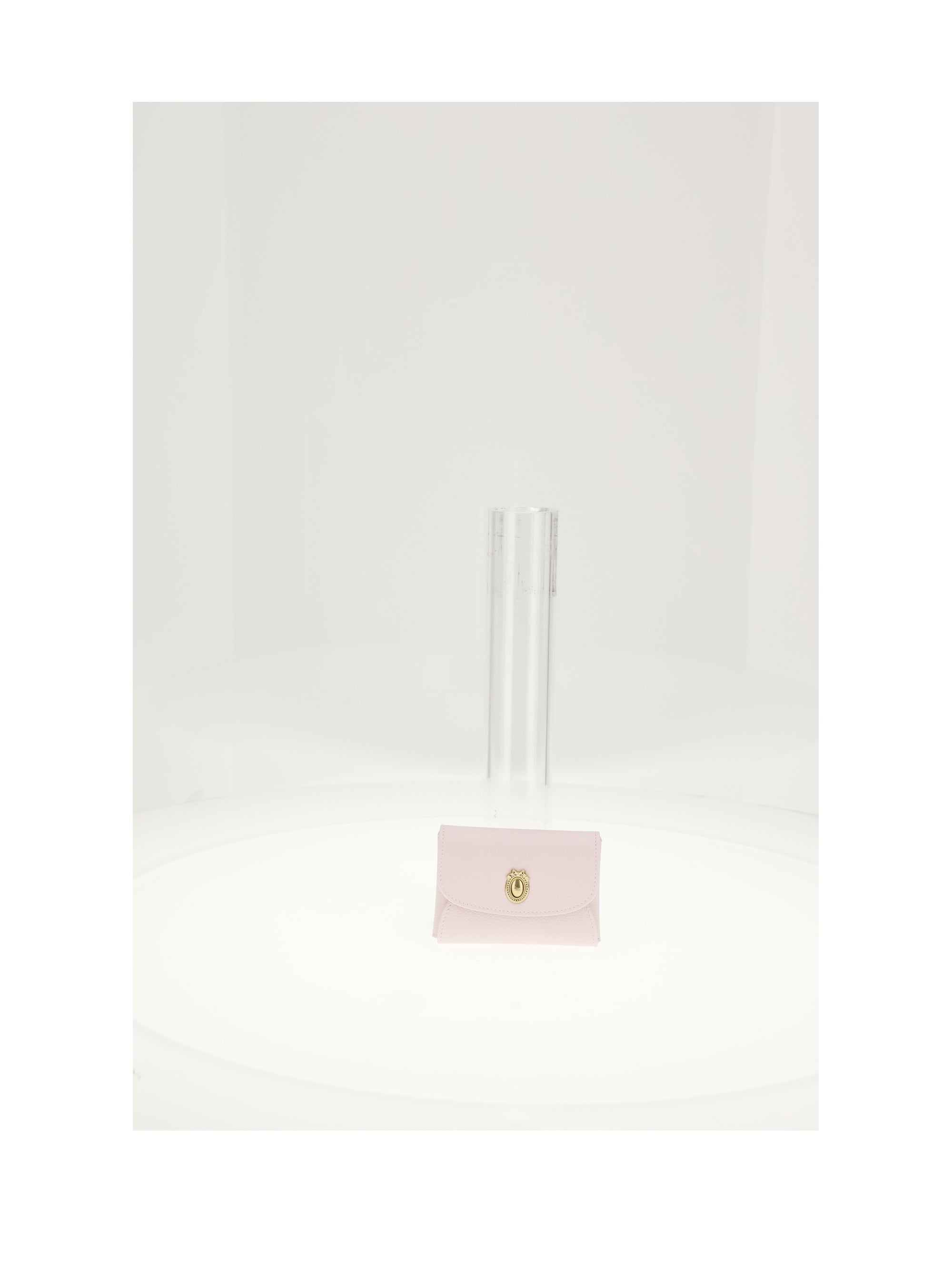 dior medalljon card holder