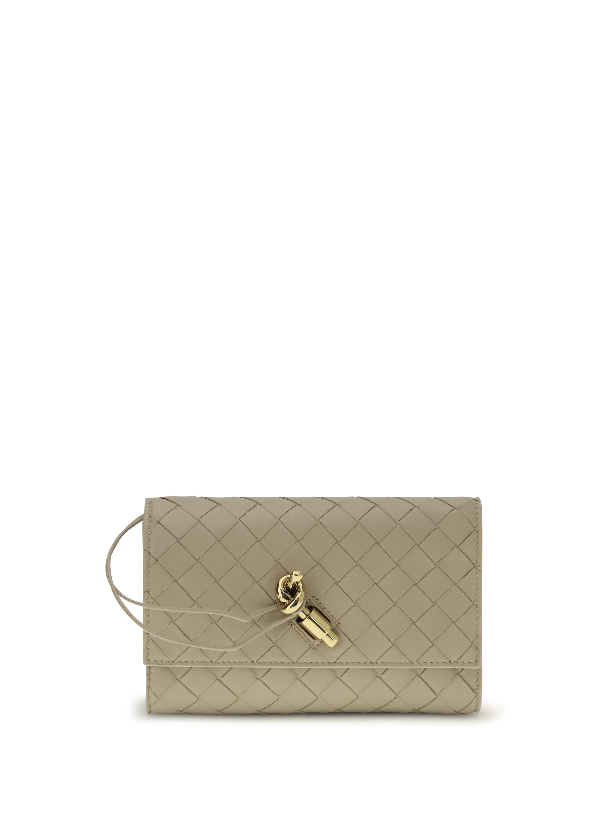 andiamo clutch bag