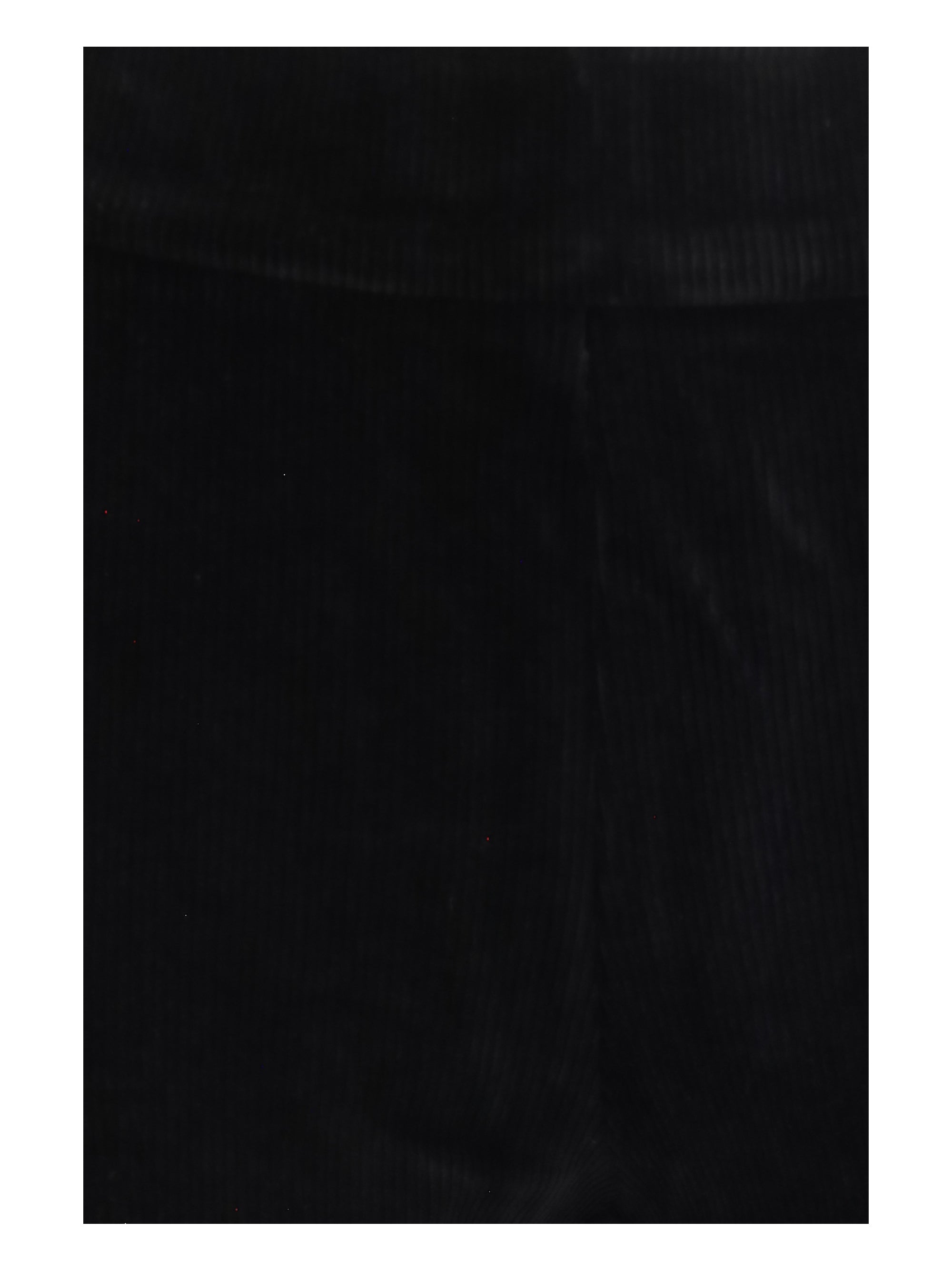leo pants