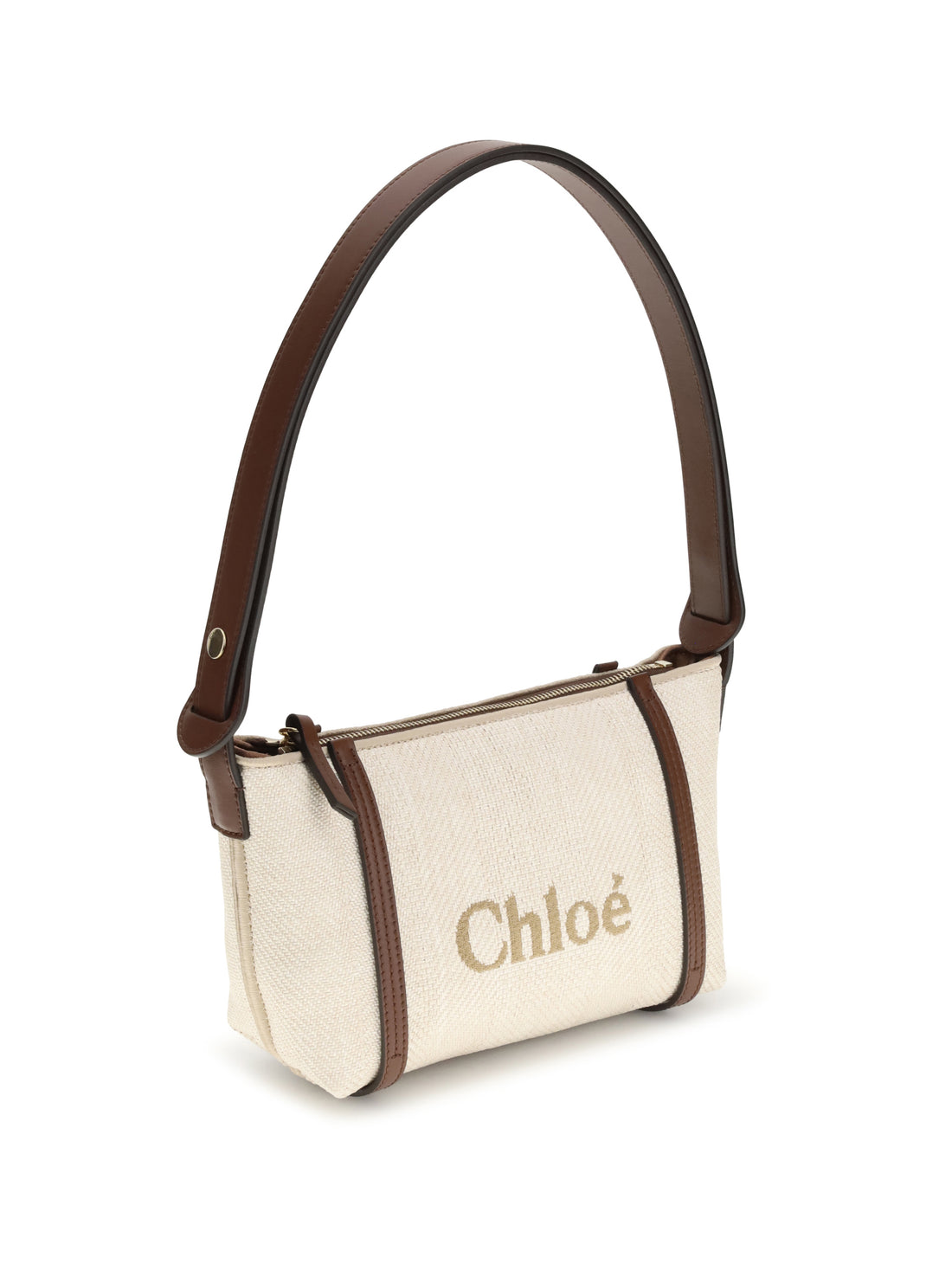 carry shoulder bag