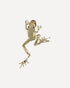 Bottega Veneta Small Frog Brooch